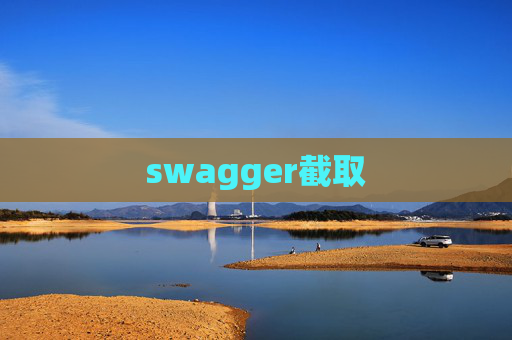 swagger截取